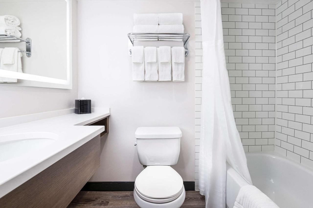 Comfort Suites Kingston Central מראה חיצוני תמונה
