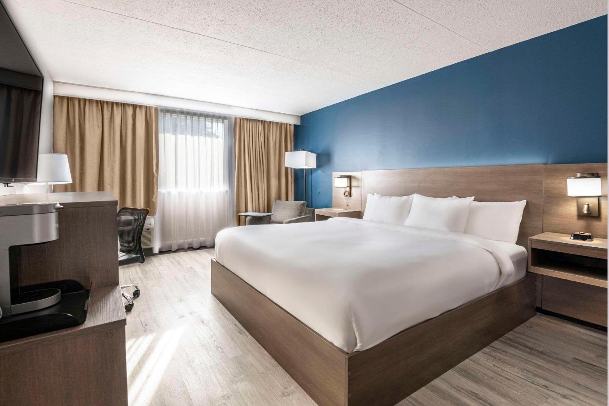 Comfort Suites Kingston Central מראה חיצוני תמונה